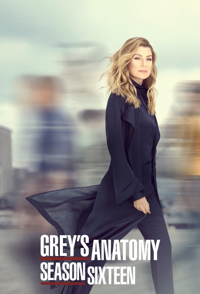 Grey's Anatomy - Season 16 [134836] (A1774148182) [[Shows 2.0]] --Plex--